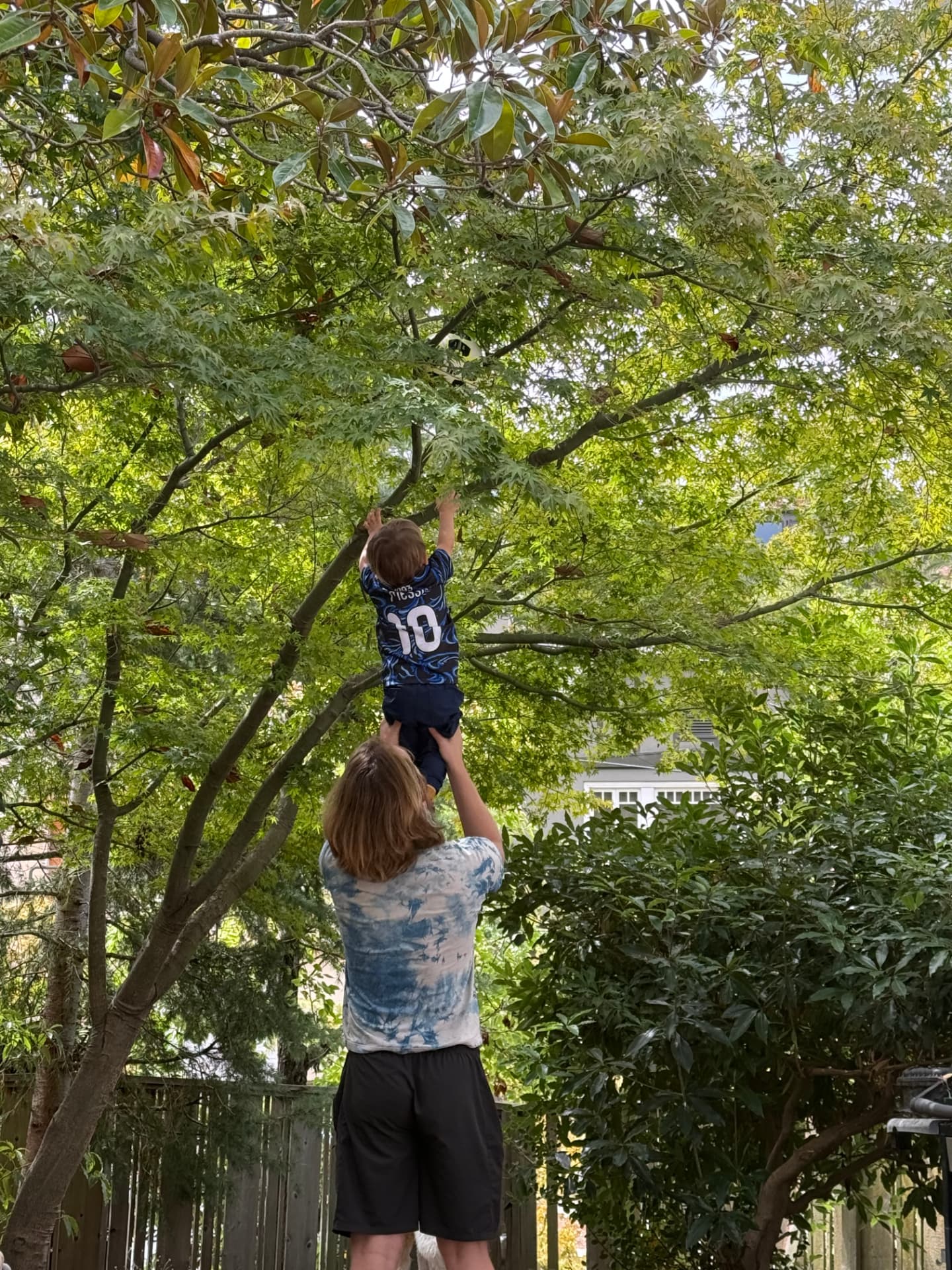 A parent lifting their child up toward tree branches